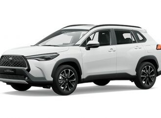 2022 fue el mejor año en ventas de autos electrificados en la Argentina