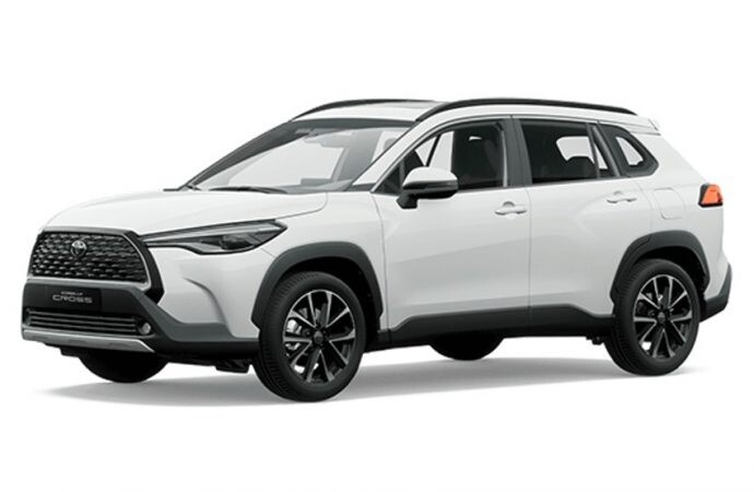 2022 fue el mejor año en ventas de autos electrificados en la Argentina