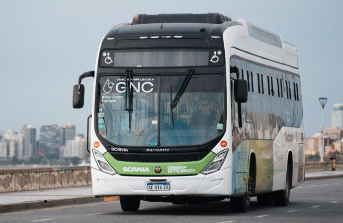Un bus urbano de Scania a GNC, a prueba en Mar del Plata
