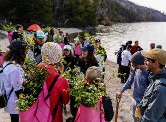 El rol que está cumpliendo Goodyear para cuidar el medioambiente