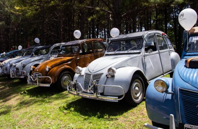 Citroën festejó los 75 años del 2CV de la mano del Citroën Club Buenos Aires