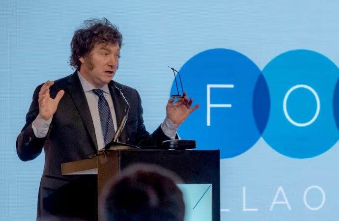 Milei prometió baja de impuestos. ¿Cuánto se lleva el estado de cada 0km?
