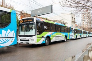 Iveco Bus impulsa las primeras líneas de colectivos del AMBA propulsadas a GNC